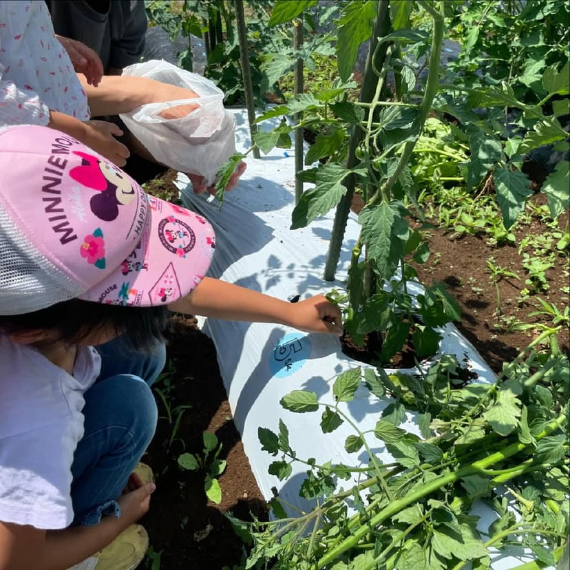 こどもと収穫体験