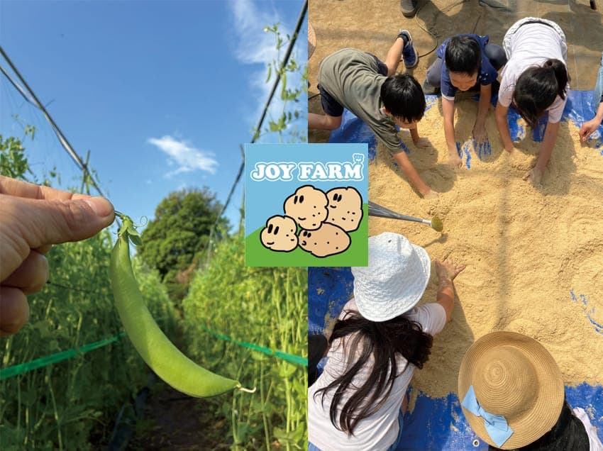 JoyFarmの活動風景 — 畑と子どもたち
