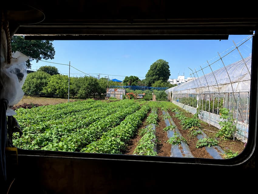 コンテナ越しに見るJoyFarmの畑