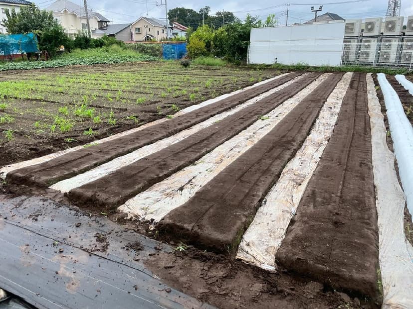 菌ちゃん農法の高畝